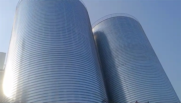 郎溪2座混凝土高架卷板仓